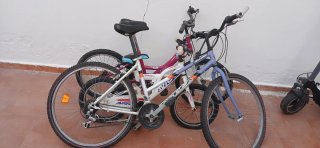 Bicicletas de montaña (3unidades) 70 e las tre
