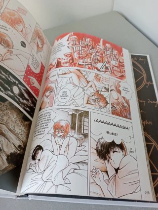 Libro Bastard!! Complete Edition, 1