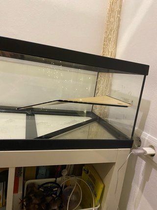 Terrario de cristal