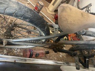 Bmx subrosa