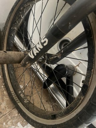 Bmx subrosa
