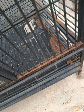 Jaula grande loro/guacamayo URGE VENTA