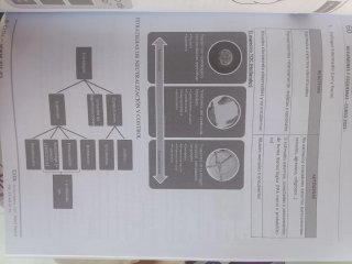PSICOLOGÍA CLÍNICA Adultos. Trastornos Estados ...