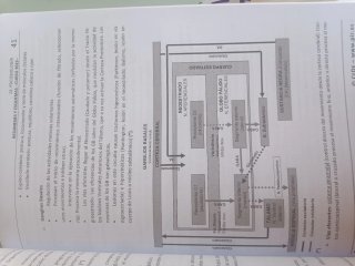 PSICOLOGÍA CLÍNICA Adultos. Trastornos Estados ...