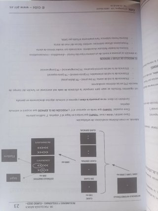 PSICOLOGÍA CLÍNICA Adultos. Trastornos Estados ...