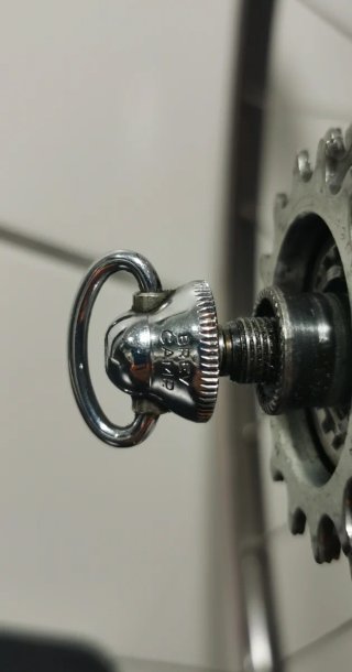Campagnolo 50th Anniversary rueda  trasera