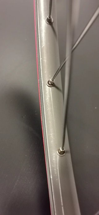 Campagnolo 50th Anniversary rueda  trasera
