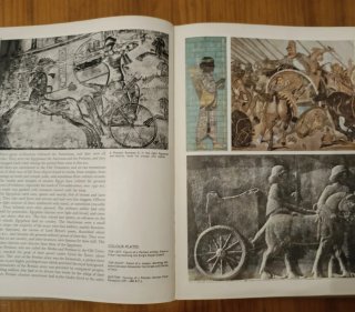 Soldiers. Libro militar Soldados (Inglés)