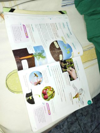 CONEIXEMENT DEL MEDI 3 PRIMARIA CONSTRUINT MONS