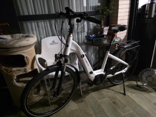 Bicicleta Eléctrica Veloville AEB 800