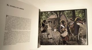 Aliados. España en la Guerra de Independencia de..