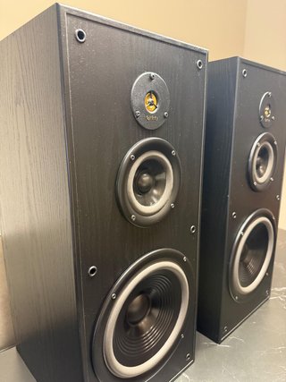 Infinity Reference 41 mkII restaurados, pareja