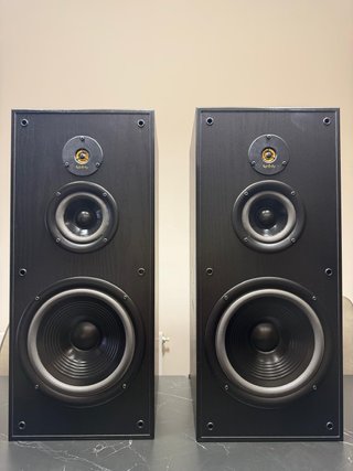 Infinity Reference 41 mkII restaurados, pareja