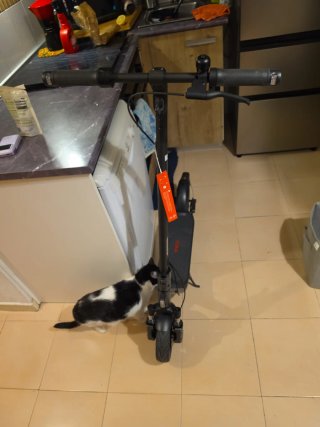 Patinete Segway F2 Pro II sin estrenar Negociable.
