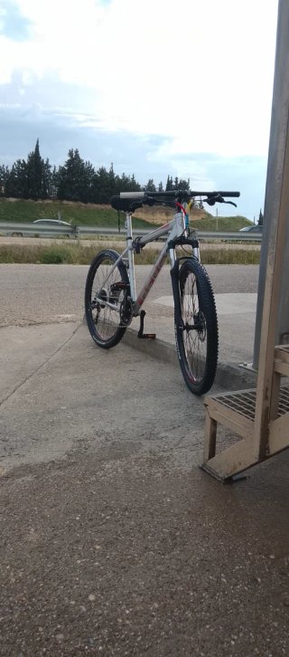 Bicicleta de montaña plateada