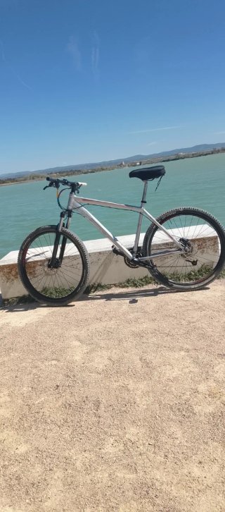 Bicicleta de montaña plateada