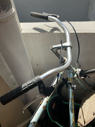 Bicicleta Vintage