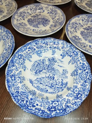 Lote 10 Platos Porcelana Vintage Azul
