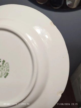 Lote 10 Platos Porcelana Vintage Azul