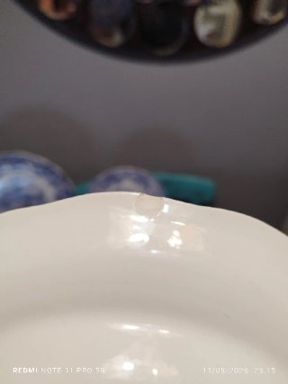 Lote 10 Platos Porcelana Vintage Azul
