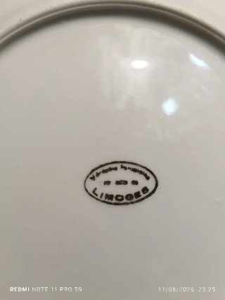 Lote 12 Platos Porcelana Vintage Flores Dorados