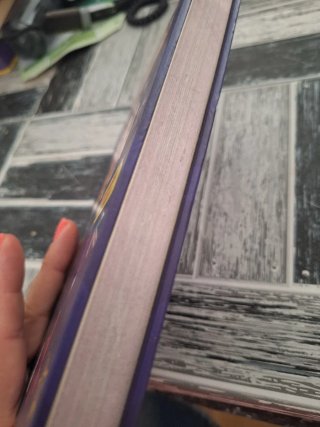 Libro Mellizas Channel