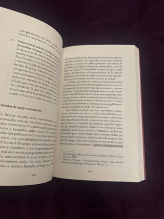 El poder del apego en pareja: Claves de la ciencia