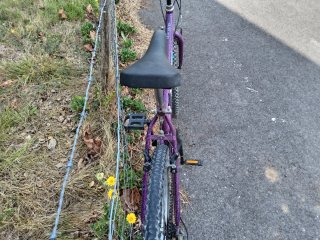 BH Sunny Bicicleta Montaña Morada