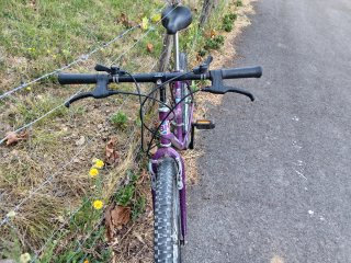 BH Sunny Bicicleta Montaña Morada