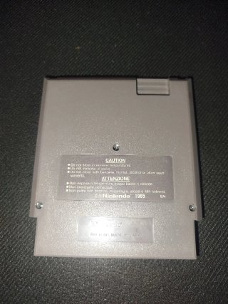 Solstice NES - Gioco Nintendo