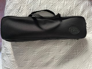 Flauta travesera plateada con funda protectora.