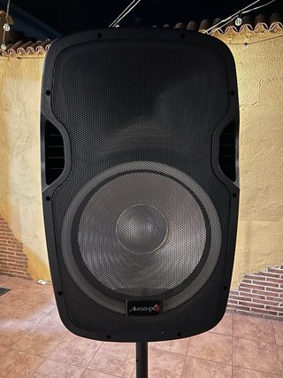 Altavoces Audibax 15