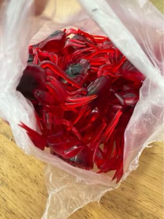 Lote 51 Iscos Silicone Pesca