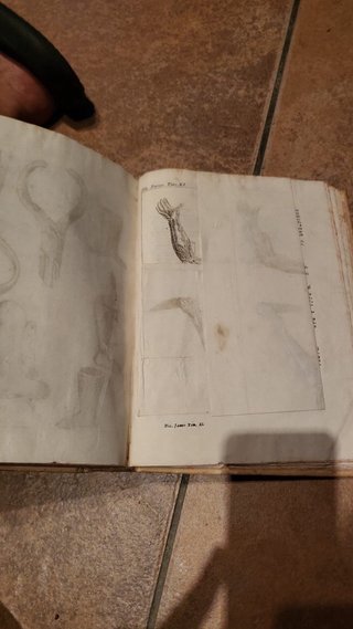 Libro Antiguo Medicina 1754