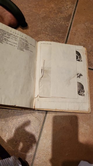 Libro Antiguo Medicina 1754
