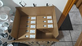 Filamento PETG para impresión 3D