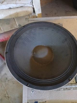 Altavoz profesional