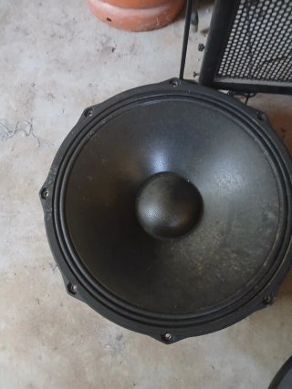 Altavoz profesional