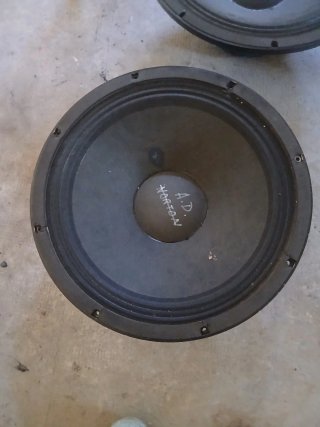 Altavoz profesional