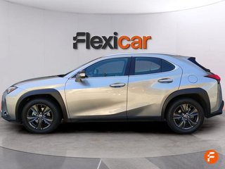 Lexus UX 2.0 250h Business