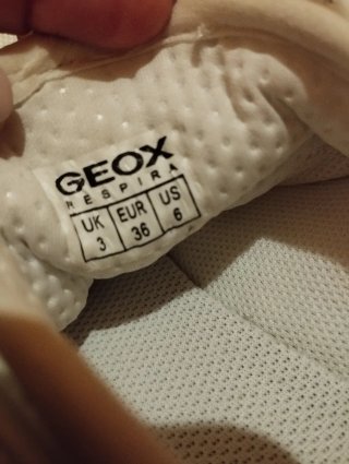 Zapatillas Geox Mujer Talla 36