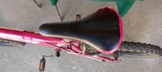 Bicicleta WST 20 Rosa Neón
