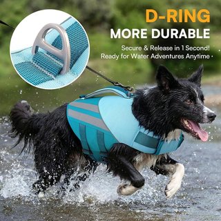 QUEENMORE Chaleco Salvavidas Perro XL Teal