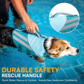 QUEENMORE Chaleco Salvavidas Perro XL Teal