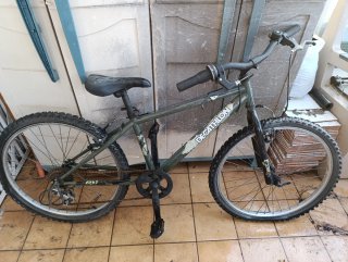 Bicicleta Montaña Cromada
