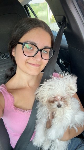 Paseo a perros en Alcañiz y los cuido.