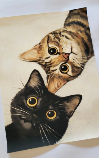 Lámina 30x40 cm | Gatos Ojos Dorados | sin marco