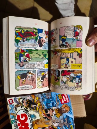 Lotto 10 Fumetti Disney BIG Panini Comics