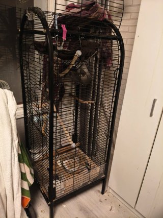 Jaula para pájaros negra