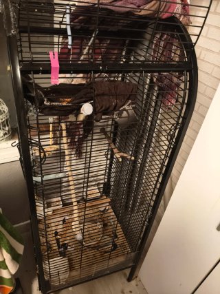 Jaula para pájaros negra